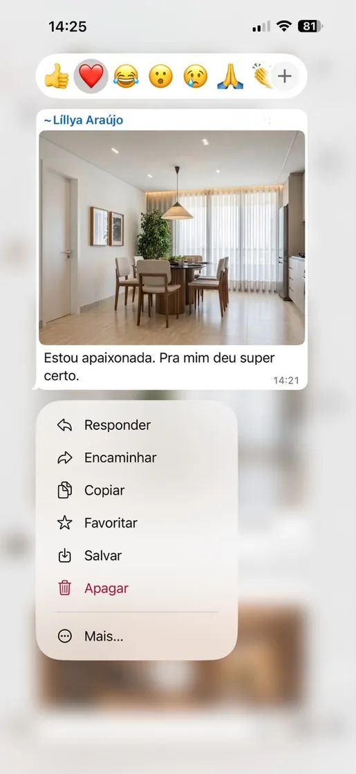 Print de conversa: arquiteta mostrando o render feito com os agentes